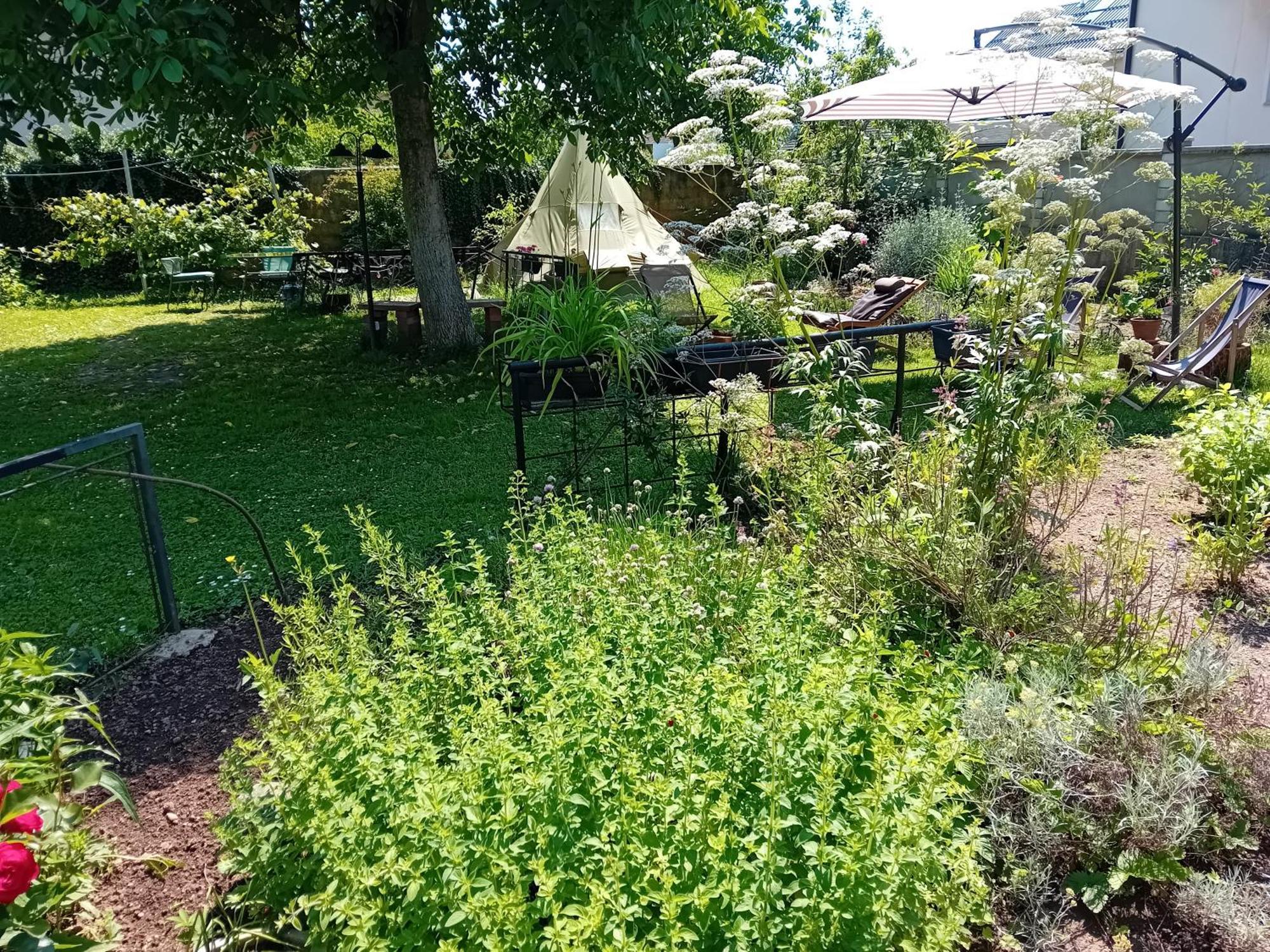 Indian Tent Tipi In Shared Lot And Shared Bathroom Mrse Exterior foto
